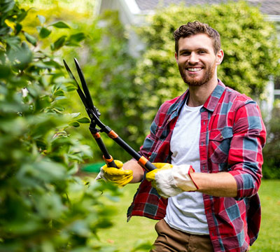 Aide au jardinage